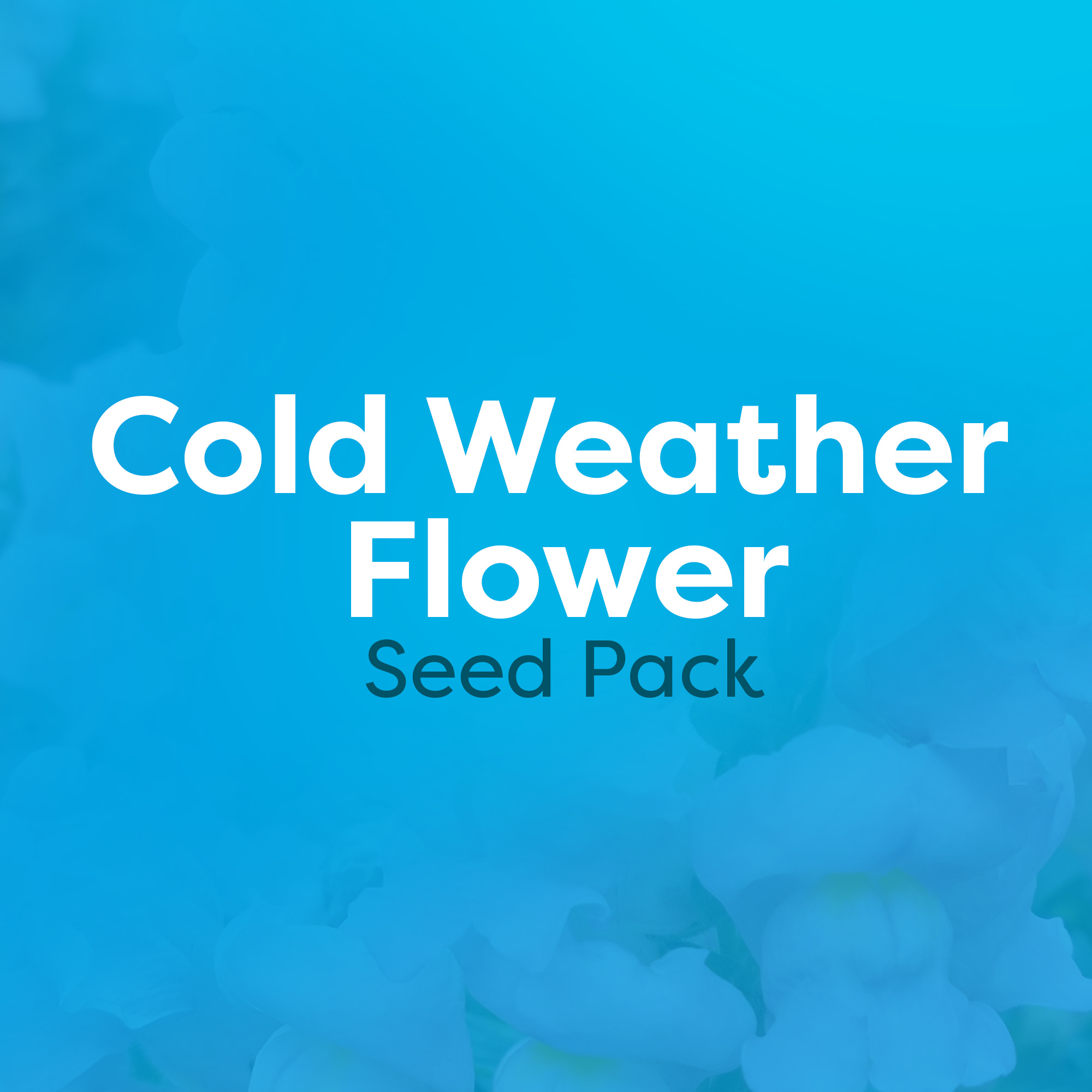 cold weather flower seeds Cold Weather Flower Seed Pack