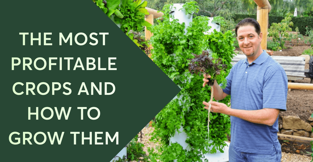 The Most Profitable Crops to Grow (and How to Grow Them) – Tower Garden