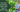 The Most Profitable Crops to Grow (and How to Grow Them)