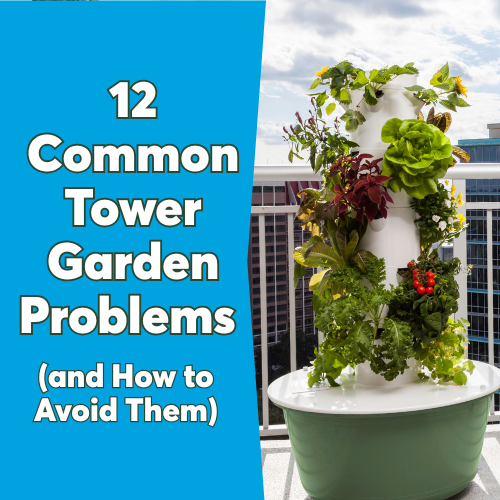 12 Common Tower Garden Problems (and How to Avoid Them)