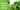 Tower Garden Grow Guide: How to Grow Basil
