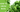 Tower Garden Grow Guide: How to Grow Basil