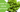 Tower Garden Grow Guide: How to Grow Lettuce