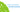 Aphids on Indoor Plants: How to Control Garden Pests Inside