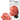 Organic Pink Oyster ‘Spray & Grow’ Mushroom Growing Kit