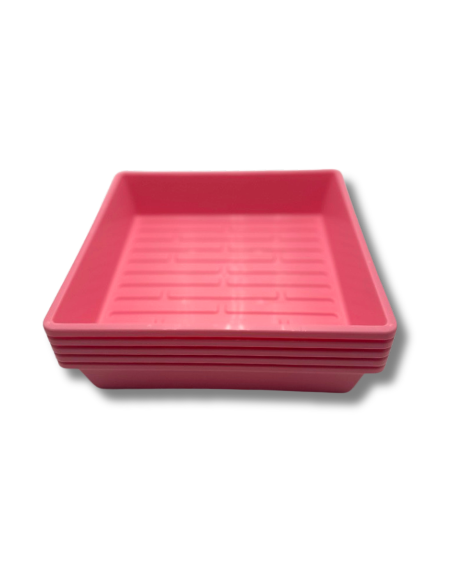 plastic plant growing trays 10 x 10 Colorful Growing Trays (5 Pack) Pink