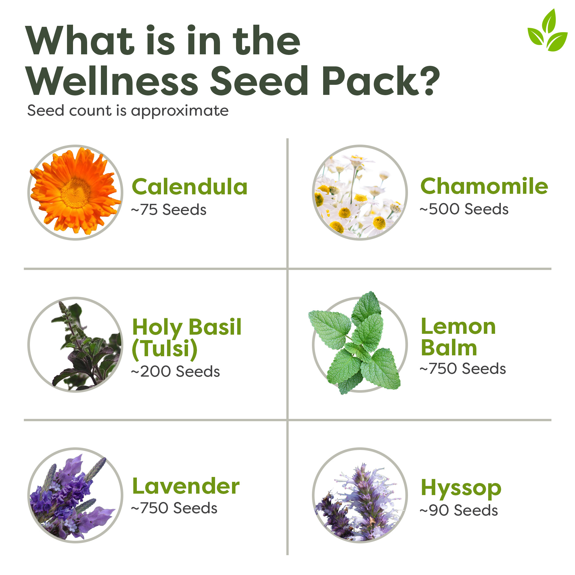 best seeds for tower garden Wellness Seed Pack