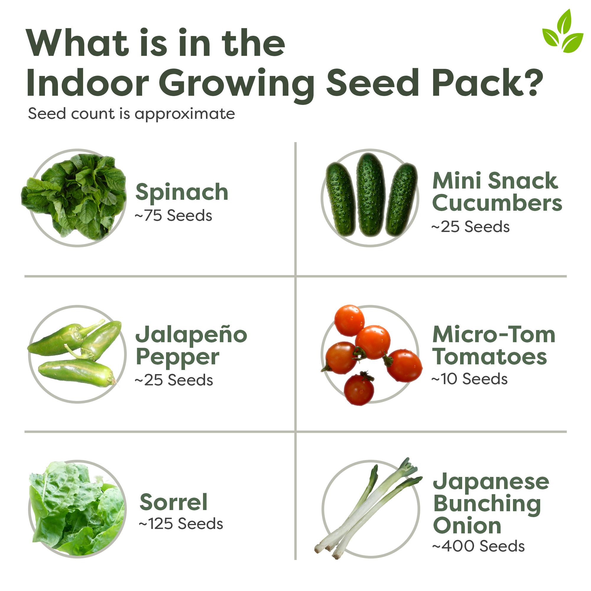 seeds for indoor garden Indoor Growing Seed Pack